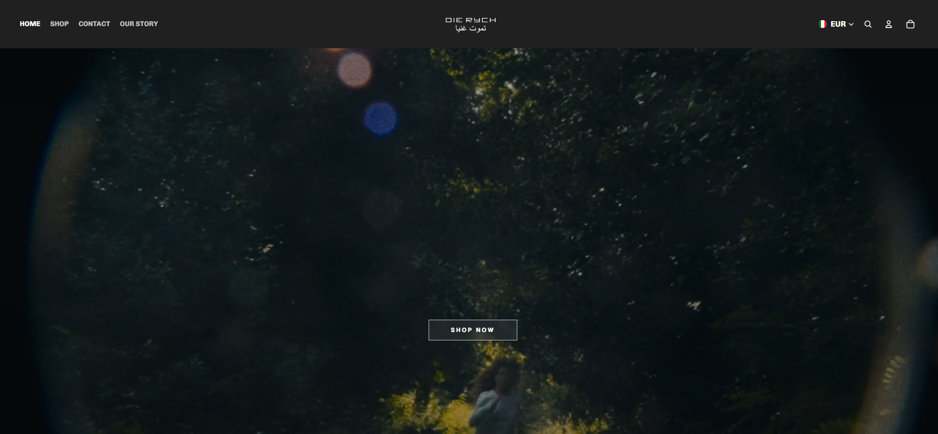 Before - Desktop View